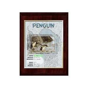 Antarctica (Penguin) Animal Planet Products 10 x 13 Plaque with 8 x 