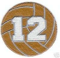 Volley Ball Embroidery Patch Applique Net Sports  