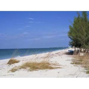  Beach, Anna Maria Island, Gulf Coast, Florida, United 