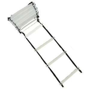  TAP Extreme Duty Ladder, 30 Feet