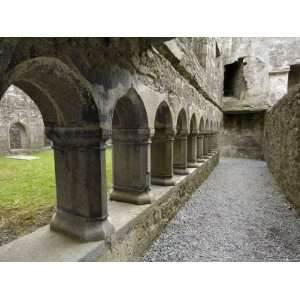 Cloister, Ross Errilly Franciscan Friary, Near Headford, County Galway 