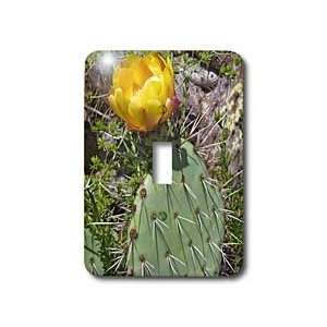   State Park, California   Light Switch Covers   single toggle switch