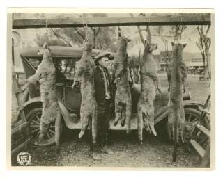   1922 Hunter Cleve Miller 5 Hanging Mountain Lions Apache Nat Forest AZ