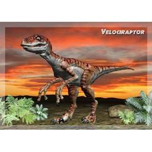  3D Motion Post Card   Velociraptor Toys & Games