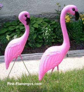   plastic pink flamingos. Plastic Pink Flamingos Comparison Chart