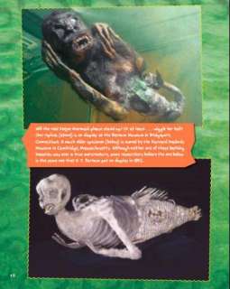 Page 18 Will the Real Feejee Mermaid Please Stand Up?