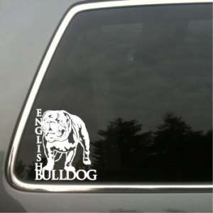 English Bulldog british bulldog window vinyl decal #2  