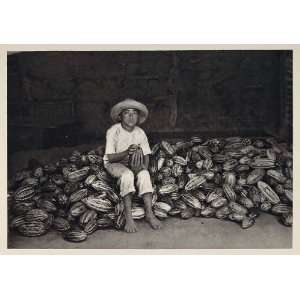  1931 Mestizo Boy Cacao Fruit Pod Nicaragua Photogravure 