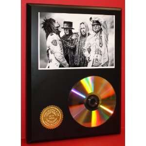 Motley Crue 24kt Gold CD Disc Display   Musician Art   Award Quality 