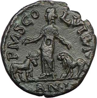   Viminacium Serbia LEGIONS 238AD Rare Ancient Roman Coin LION & BULL