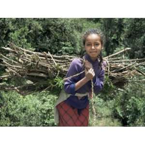  Girl Carrying Fuel Wood Bundle on Her Back, Chilima Forest 
