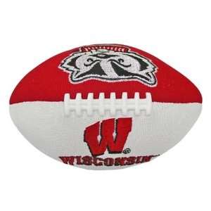  University of Wisconsin Smasher Football Sports 