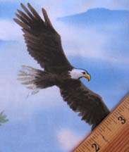Bald Eagle Majestic National Bird USA Symbol Wild Flying Sew Craft 
