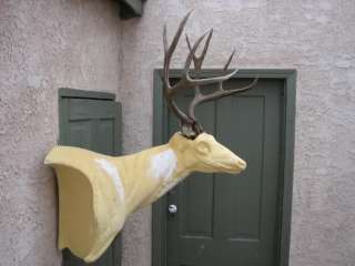 5x5 Mule Deer Antlers taxidermy mount whitetail moose  