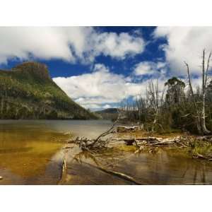  Myrtle and Mt. Rogoona, Walls of Jerusalem National Park, Tasmania 