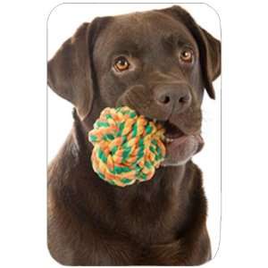  Chocolate Labrador Retriever with Toy Tempered Cutting Board 