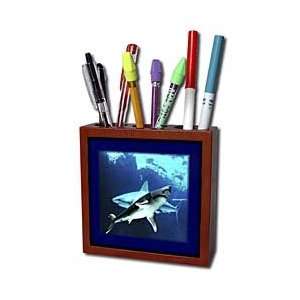  Florene Underwater Animals   Underwater Sharks   Tile Pen 