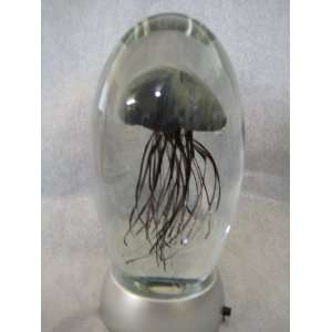 Black Glass Jellyfish Paperweight 6 (Glow in Dark) With 3 Color (Pink 