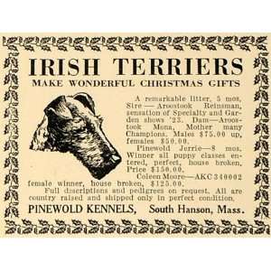 1923 Ad Irish Terrier Pinewold Kennels South Hanson Dog   Original 