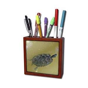  Florene Turtle   Timmy Turtle   Tile Pen Holders 5 inch 