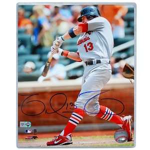  St. Louis Cardinals Brendan Ryan Autographed 8 x 10 