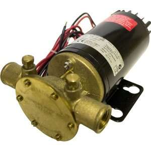 Johnson Ultra Ballast Reversible Pump