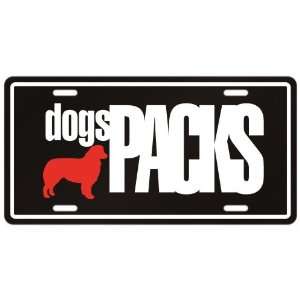 New  Australian Shepherd Dogs Packs  License Plate Dog  