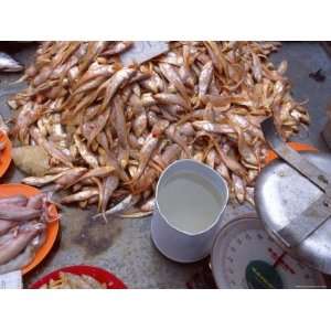  Grenadier Anchovies for Sale in Market, Malaysia 