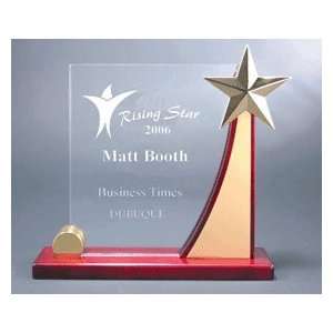  Rising Star Award