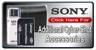 Sony LCS U20 Medium Case for Handycam Cyber shot NEX  