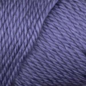  Caron Simply Soft Yarn 3oz (2691) Lavender Blue By The 