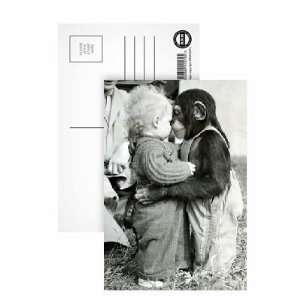 Baby Bill and Pepe the chimp rub noses July 1954   Postcard (Pack of 8 