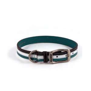  Sassy Teal Dog Collar   Medium (15 19L x 1W) Kitchen 