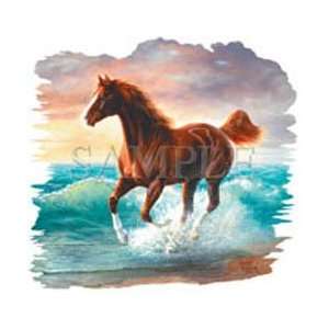  T shirts Animals Wildlife Horses Surfdancer XXL 