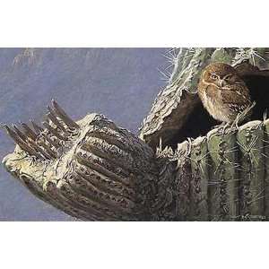  Robert Bateman   Young Elf Owl Old Saguaro