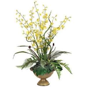 Tropical Forest Yellow Orchid