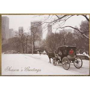  Horse and Carriage Ride Card   100 Cards 