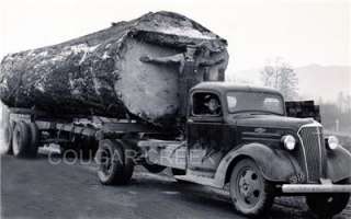 CHEVROLET LOGGING TRUCK WITH HUGE LOG 2 TRUCK DRIVERS 1939 PACIFIC 