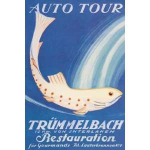  Auto Tour Trummelbach by Anton Trieb 12x18