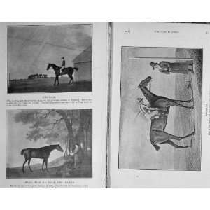   1915 Horses Gimcrack Shark Price Eleanor Trentham Lyon