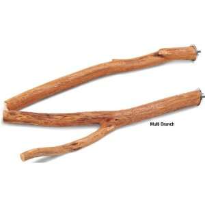    Dragonwood Perch Multi Branch 1 x 10   12 long