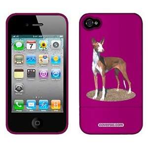  Ibizan Hound on AT&T iPhone 4 Case by Coveroo  Players 