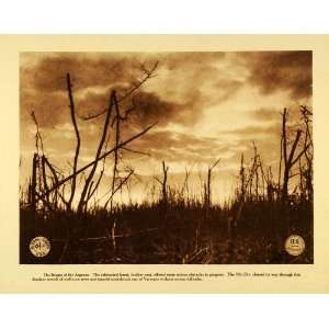  1920 Rotogravure WWI Argonne Battlefield No Mans Land 
