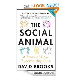   Story of How Success Happens David Brooks  Kindle Store