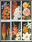 CIGARETTE CARDS. Carreras. FLOWERS. (Set). (1936).