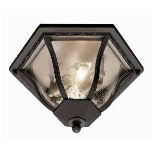    Outdoor Flush Mount Size H8.50 X W13.00 TR4559