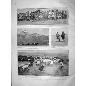  1904 TIBET SHEEP TANGLA BHUTANESE HASLAR CEMETERY WAR 