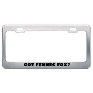 Got Fennec Fox? Animals Pets Metal License Plate Frame Holder Border 