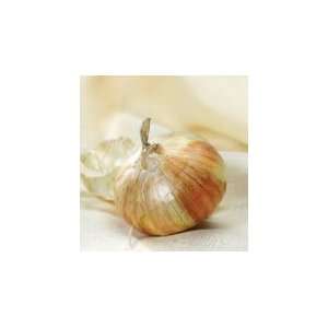  Davids Organic Onion Walla Walla 200 Seeds per Packet 