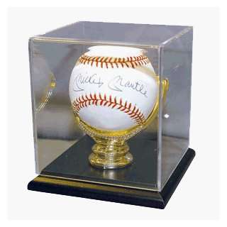  Baseball Deluxe Gold Glove Display Case